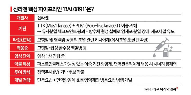 "빌드업은 끝났다"…신라젠의 내년은 반격의 시간