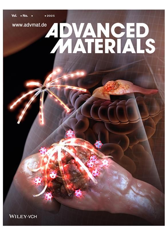 공동연구팀의 연구 성과(논문)는 최근 국제 학술지 '어드밴스드 머터리얼즈(Advanced Materials)' 표지논문으로도 선정됐다. KAIST 제공