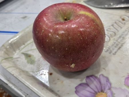 멀쩡한 사과 보더니 "이건 썩은 거예요" 장담…진짜 잘라보니 '휘둥그레' 비결은?[농업 바꾼 FTA]③