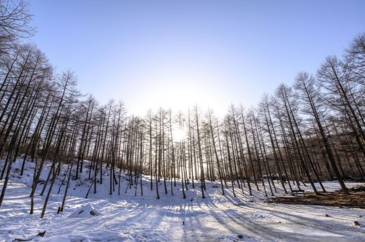 정선군, 운탄고도 1330 이용 활성화 위한 기반시설 조성 사업추진