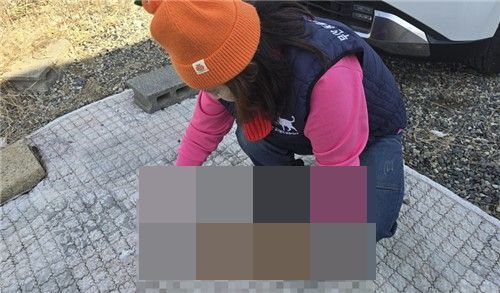부산에서 학대를 당한 해 사망한 것으로 추정되는 고양이 사체가 발견됐다. 동물사랑 길고양이보호연대