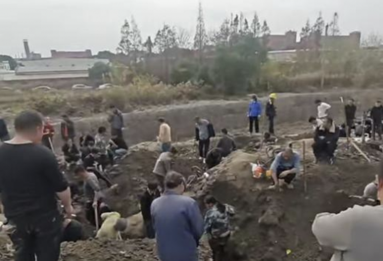 중국 상하이 한 지역에서 은화가 발견됐다는 소문이 퍼져 주민들이 모여 발굴에 나섰다. 웨이보.