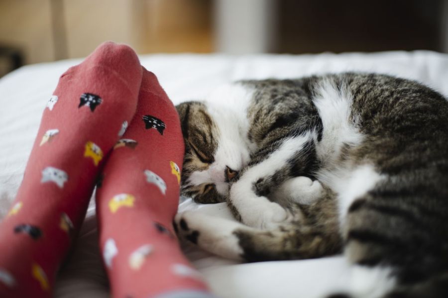 게티이미지뱅크