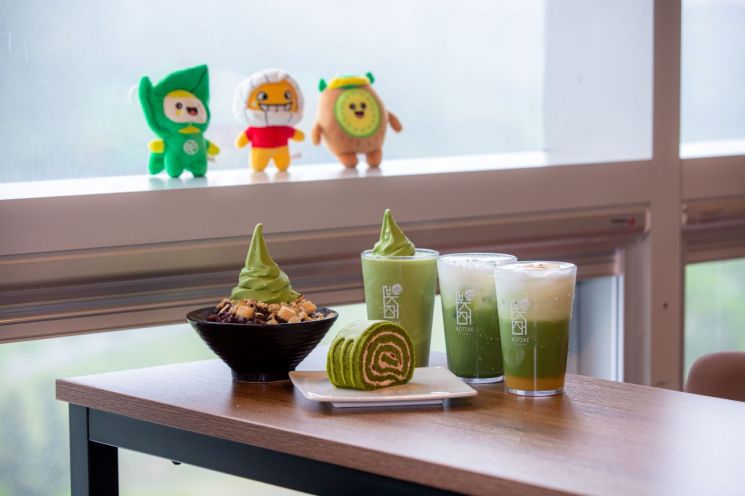 보성 말차 '보성차 제2부흥기' 본격 시동