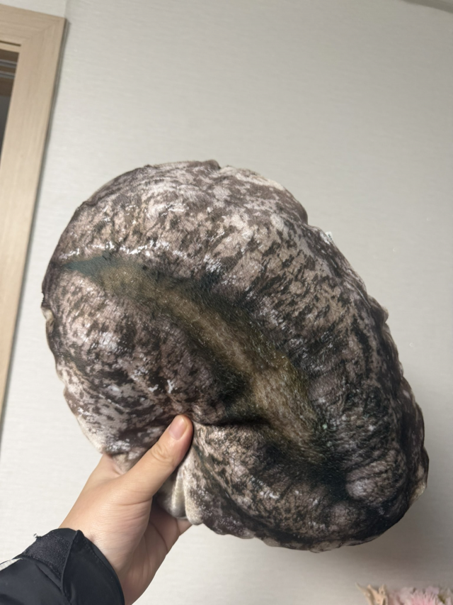 "너무 리얼해서 비린내 나겠다"…완도 기부 답례품 전복쿠션 화제 