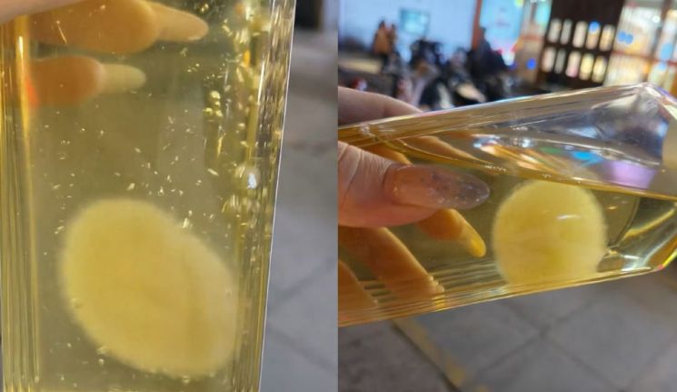 "조용하고 귀여워" 인기음료서 쑥쑥…'반려균' 키우기 유행하는 中