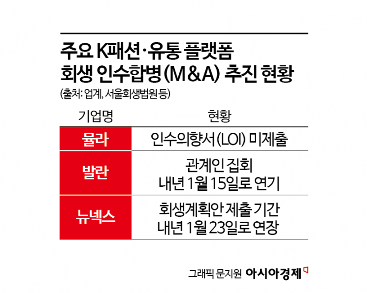 뮬라·뉴넥스·발란 등 회생 난항 장기화…연내 M&A '불투명'
