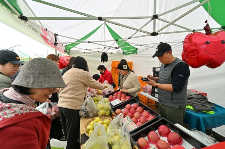 정선군, '스마트과수원 특화단지' 선정…고랭지 사과 주산지 도약 가속화