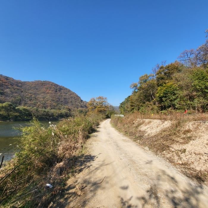 "1400만원 시골땅 17억원에 삽니다"…117배 투자한 이유는