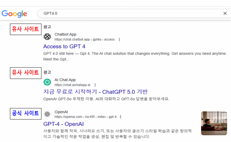 제미나이 짝퉁 '제미'? 모르고 39000원 결제…"유사 사이트 주의"