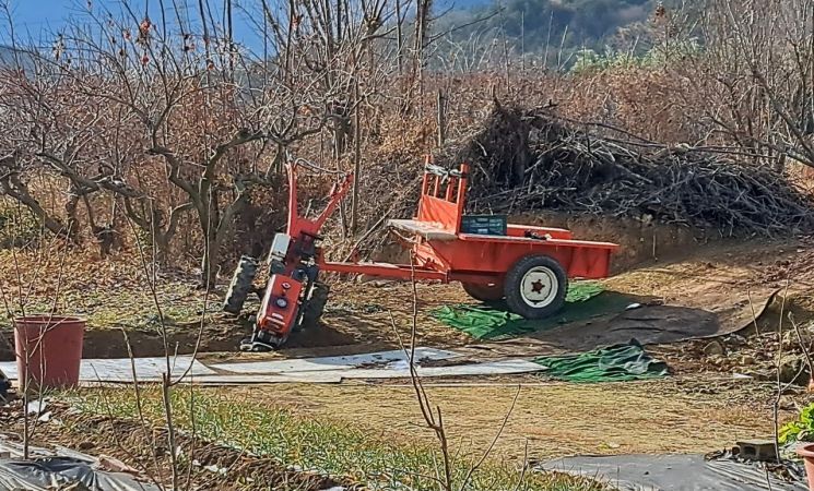 김해 과수원서 경운기 몰던 70대, 확 꺾인 핸들에 맞아 숨져
