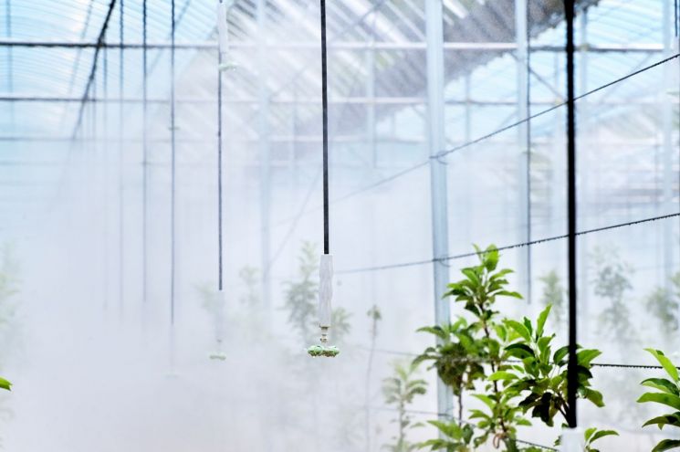 청송 사과밭에 ‘AI 바람’… 스마트과수원 특화단지 국비 30억원 확보