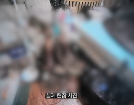 "온몸이 오물 범벅"…욕창·피부 괴사 아내 방치한 육군 부사관, 살인 혐의 기소