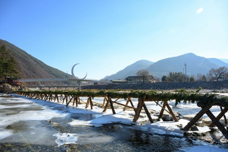 정선군, '걷는 순간 완성되는 겨울 여행' 아우라지 섶다리 조성