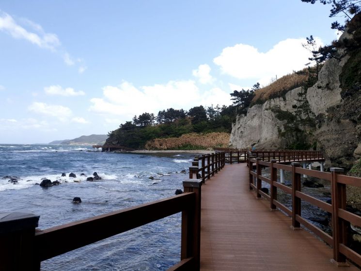 호미곶 일출·해안둘레길·과메기…경북문화관광공사 "연말 포항으로 여행오세요"