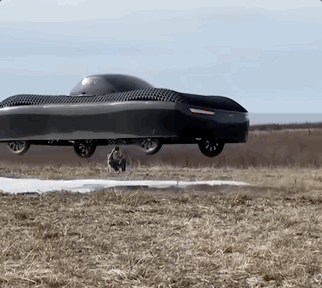 "진짜 떠올랐다" 시속 177㎞로 날아가는車 양산…대당 가격이 무려