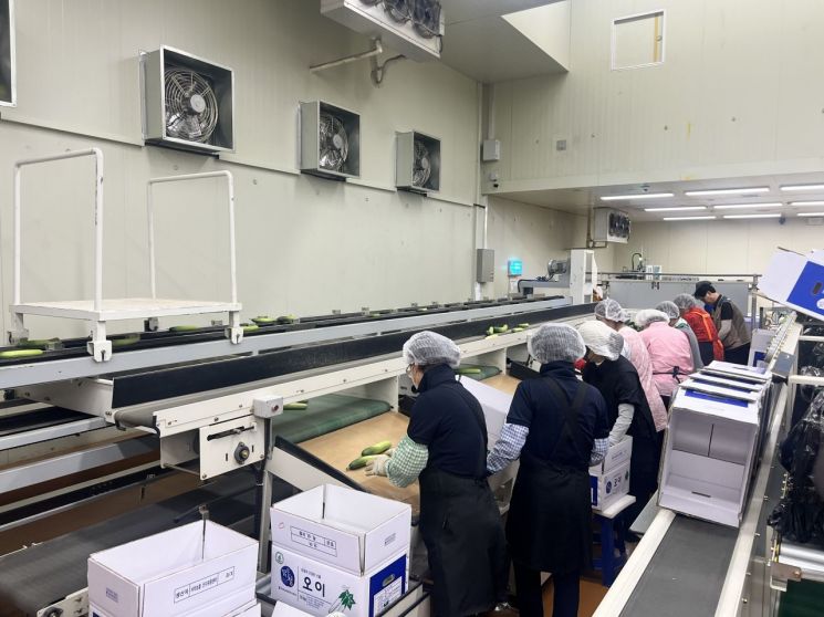 [농업 바꾼 FTA]⑦"뭉쳐야 산다"…'선별·포장' 노동력 줄고·수익은 늘어