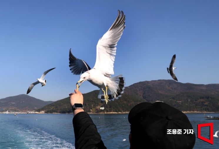 [이미지 다이어리] 새우깡 사냥