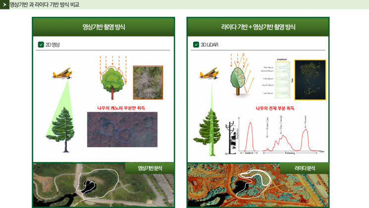 재선충병 예찰에 '헬기 라이다' 시범적용