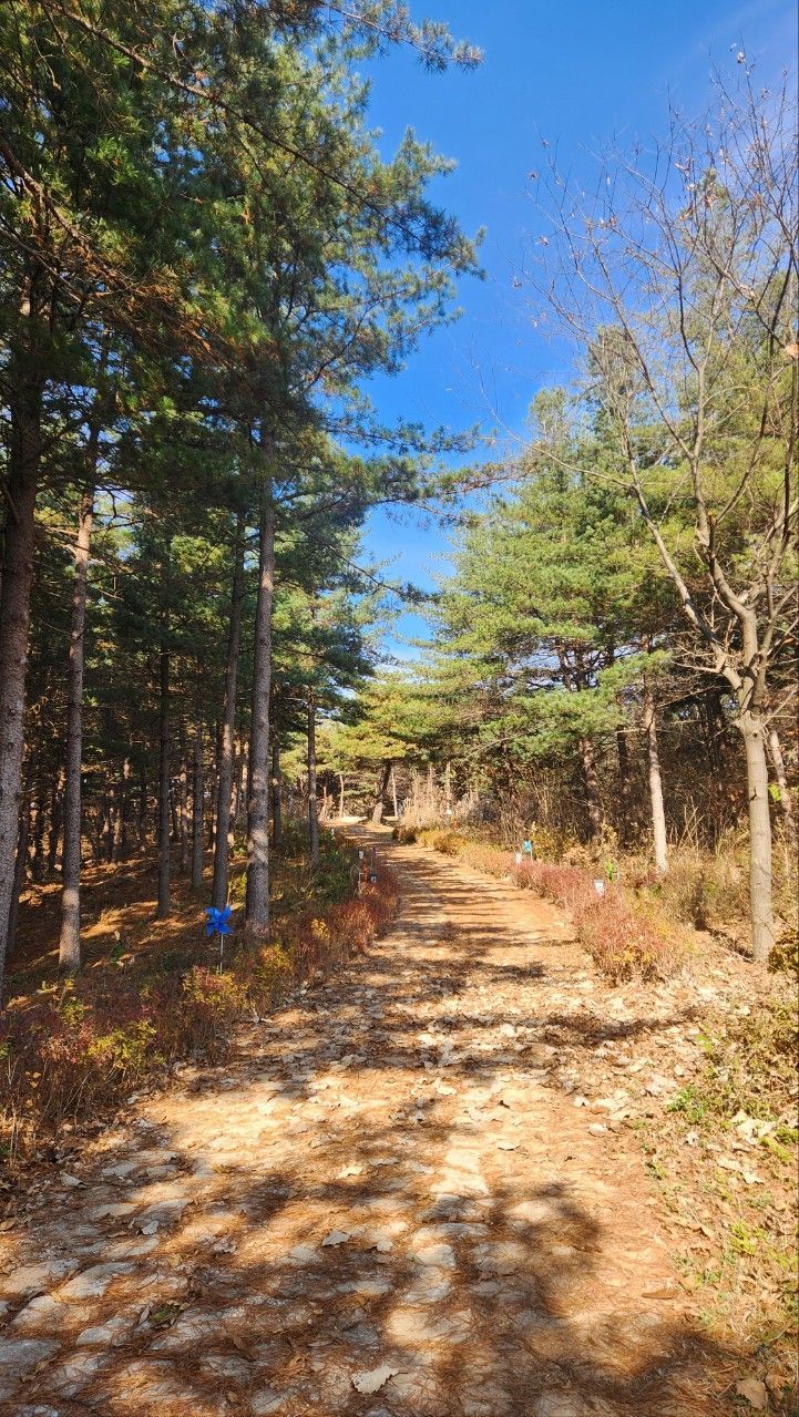 가평군, 군민이 직접 뽑은 '나만 알고 싶은 산책길 명소 8' 발표