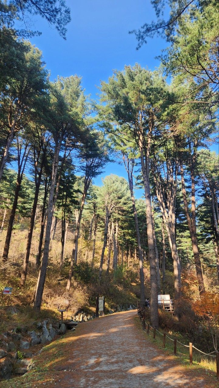 가평군, 군민이 직접 뽑은 '나만 알고 싶은 산책길 명소 8' 발표