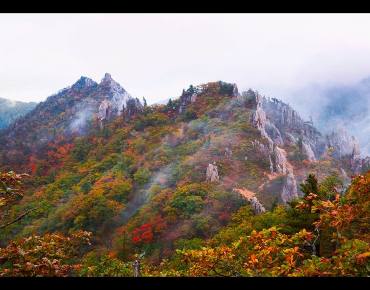 미시령 힐링가도 전국사진공모전 시상식 20일 인제서 개최