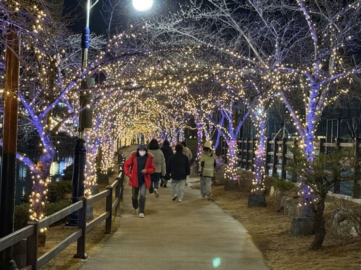 영천 망정우로지공원, 연말·크리스마스 맞아 야간 명소로 부상…'왕벚나무' 경관조명 인기