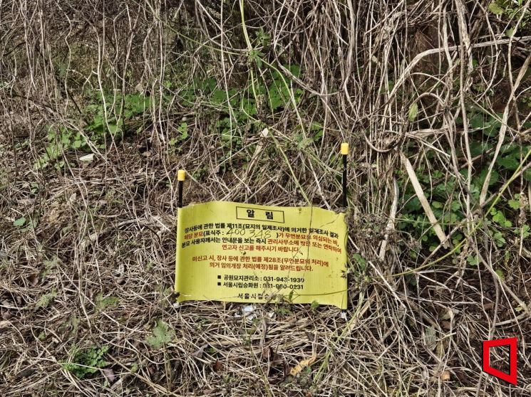 "No Trace of the Burial Mound Under Tree Roots"... Isolated Graves With No Contact or Care [2025 Unclaimed Deaths Report ⑭]