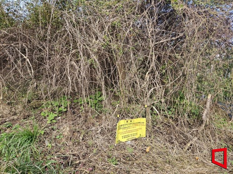 "No Trace of the Burial Mound Under Tree Roots"... Isolated Graves With No Contact or Care [2025 Unclaimed Deaths Report ⑭]