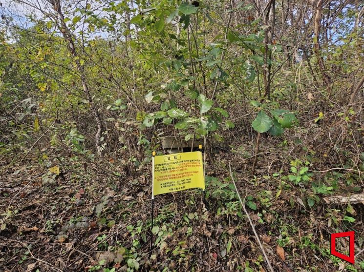 "No Trace of the Burial Mound Under Tree Roots"... Isolated Graves With No Contact or Care [2025 Unclaimed Deaths Report ⑭]