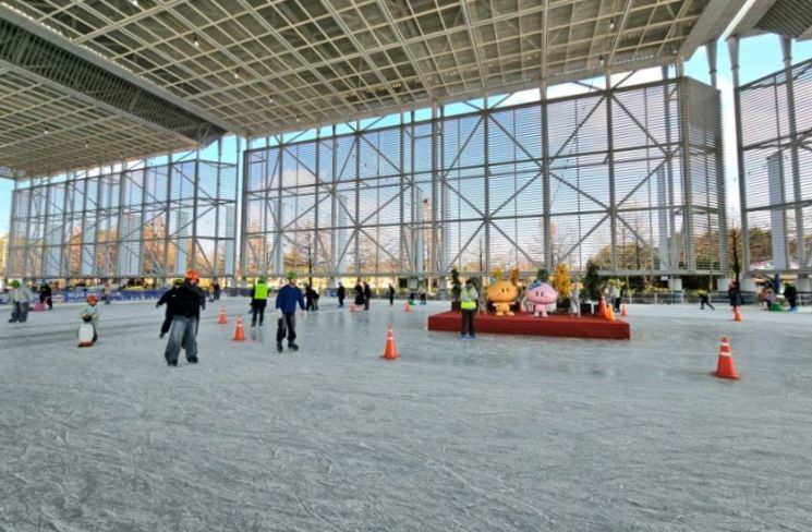 대전 엑스포시민광장 '야외스케이트장' 개장...내년 2월 8일까지 운영 