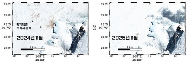 남극 최대 황제펭귄 번식지서 새끼 70% 사라졌다[과학을읽다]