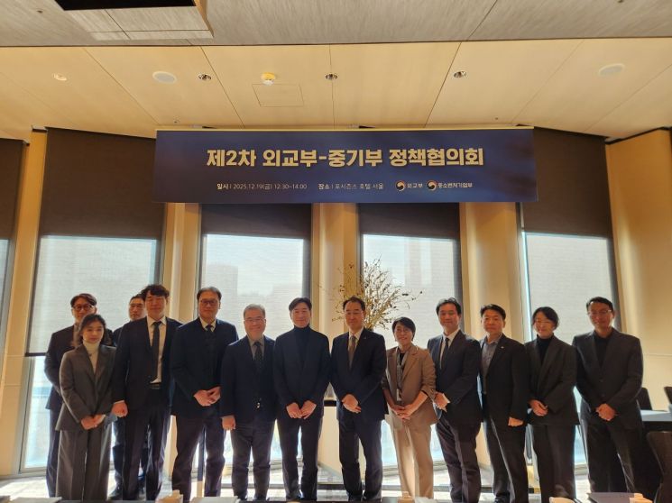 中企 글로벌 진출 지원 위해 재외공관 플랫폼 역할 확대