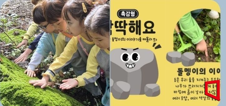 국립칠곡숲체원, 유아의 숲 감각을 담은  산림문화콘텐츠