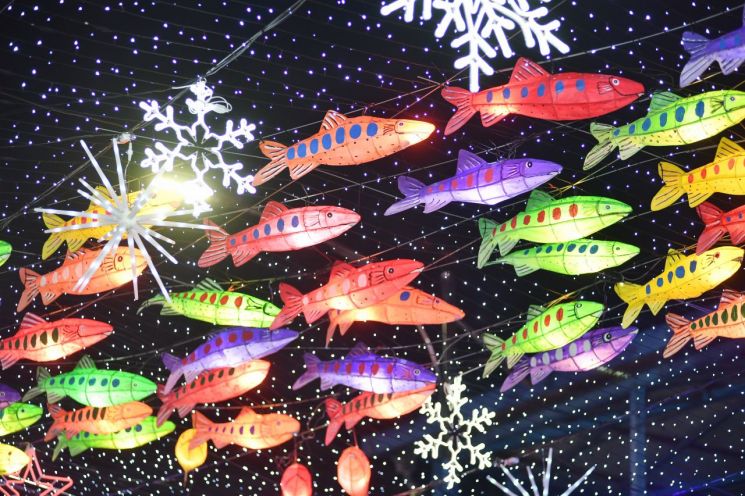 "화천의 밤, 산천어 빛으로 물들다"…화천산천어축제 '화려한 서막'