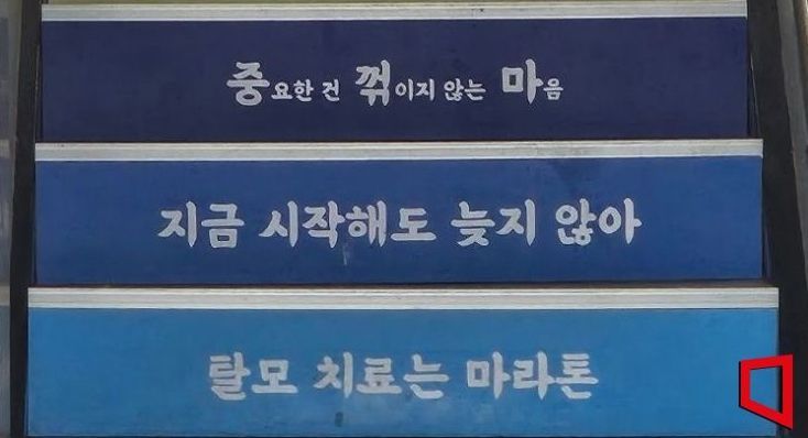 "韓, 미의 기준 악명 높아"…탈모인 돕기 나선 李 대통령에 외신도 주목