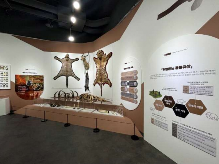 밀수꾼 창고서 썩던 호랑이 가죽…'자연 교과서'로 부활