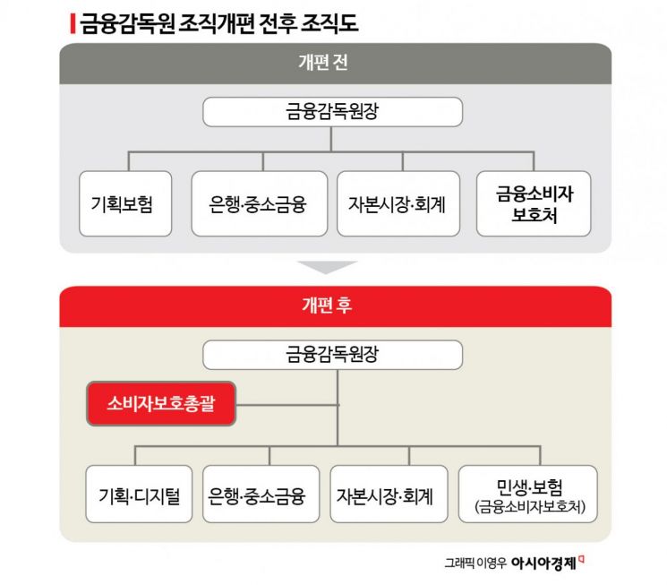 금감원장이 소비자보호 직접 챙긴다…'소비자보호총괄부문' 신설(종합)