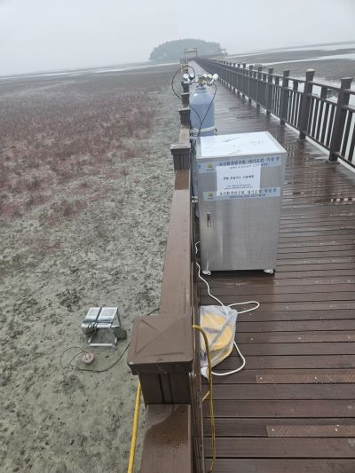 하루 554만원어치 이산화탄소 흡수하는 전남 갯벌 효과 입증 