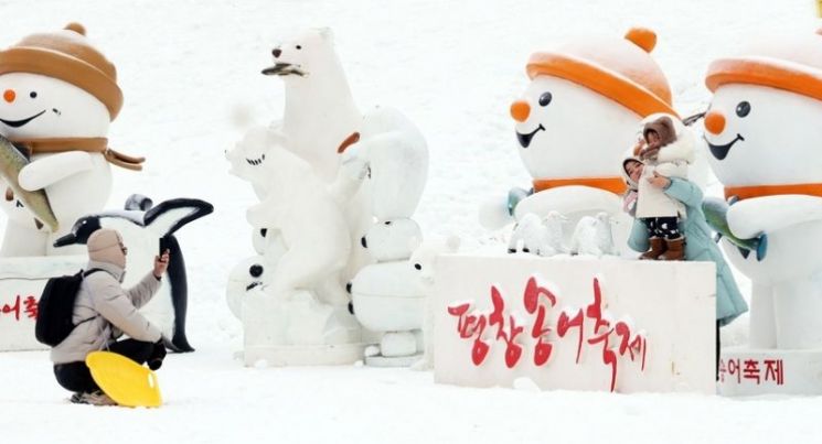 평창송어축제, 이상기온에 개막 연기…1월 9일 문 연다