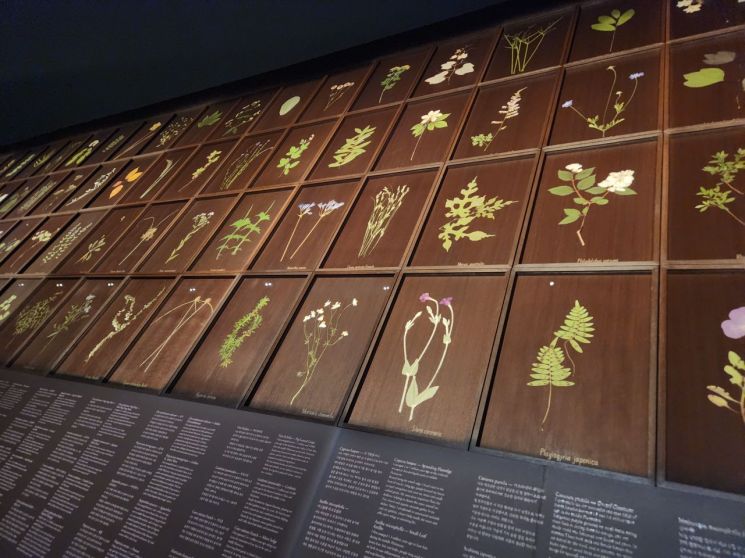 560개 생명을 부르다… 최재은 '약속'展