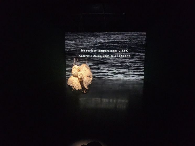 560개 생명을 부르다… 최재은 '약속'展