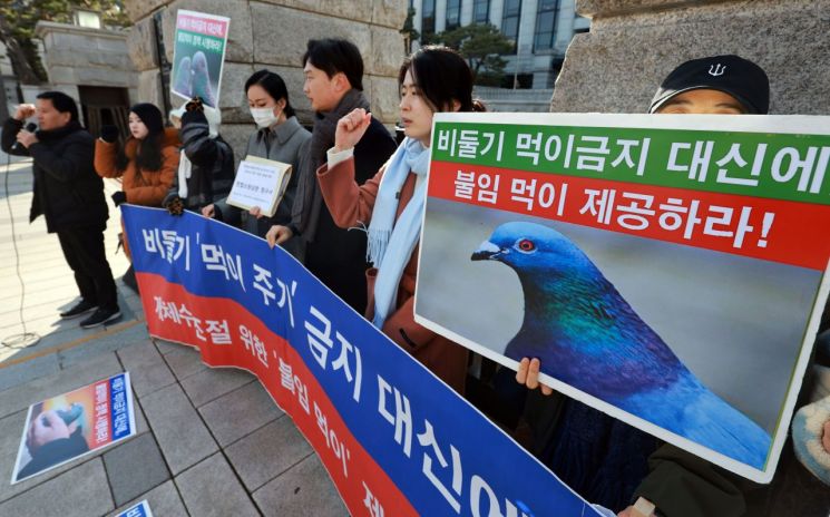 "비둘기 굶겨 죽이는 법은 위헌"…동물단체, '먹이주기 금지법' 헌법소원