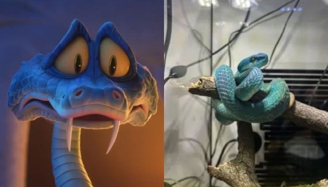 "애완 뱀 키우려다 손가락 절단"…'주토피아2' 흥행, 때아닌 부작용 속출