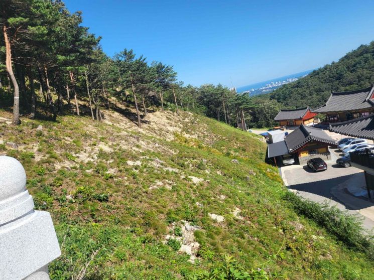 "건축물과 25m 이내 거리 '입목' 임의벌채 허용"
