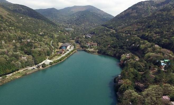 국립수목원 최초 모노레일 탄생…완도수목원 1천815억 투입