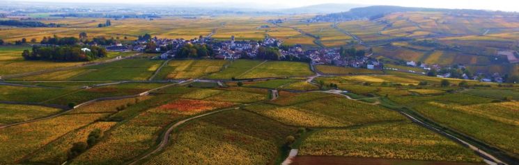 [아경와인셀라]"첫 모금보다 황홀한 막잔"… 포마르의 느린 피노 누아