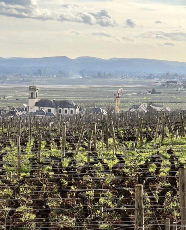 [아경와인셀라]"첫 모금보다 황홀한 막잔"… 포마르의 느린 피노 누아