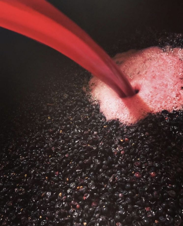 [아경와인셀라]"첫 모금보다 황홀한 막잔"… 포마르의 느린 피노 누아