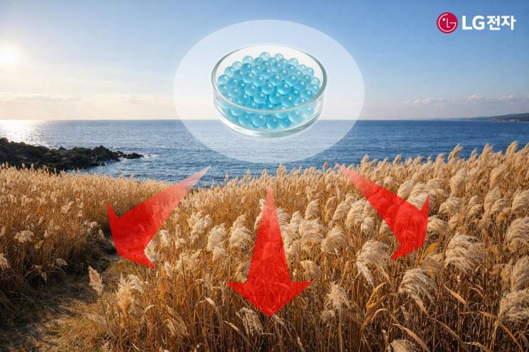LG전자·부산시, 신소재 '마린 글라스'로 블루카본 실증 추진